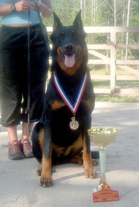 Birmane De Montclea (18)